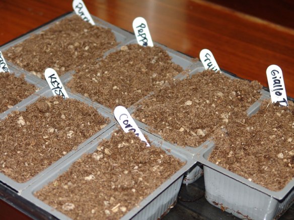 Not Much Too Look At...