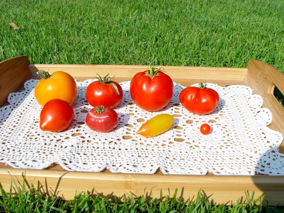 Does This Remind You Of Summer?