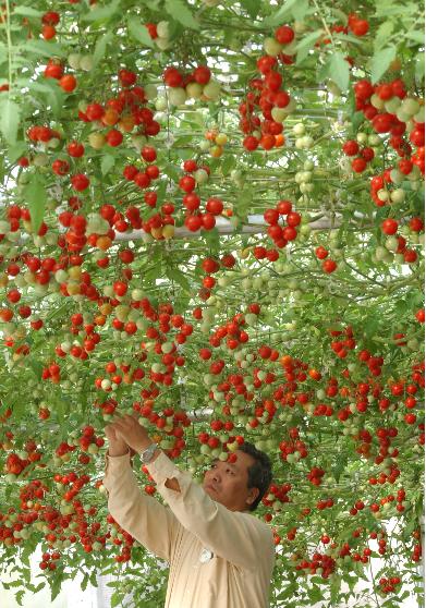 More Interesting Trivia