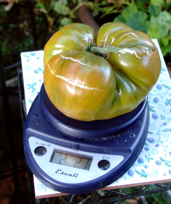 ananis-noir-on-scale