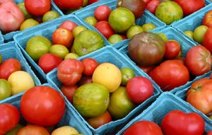 SkinnyOnTomatoes_000003926351