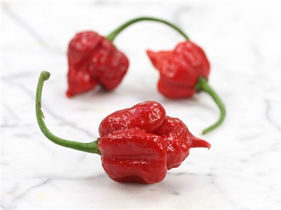 Trinidad-Scorpion-Hot-Pepper