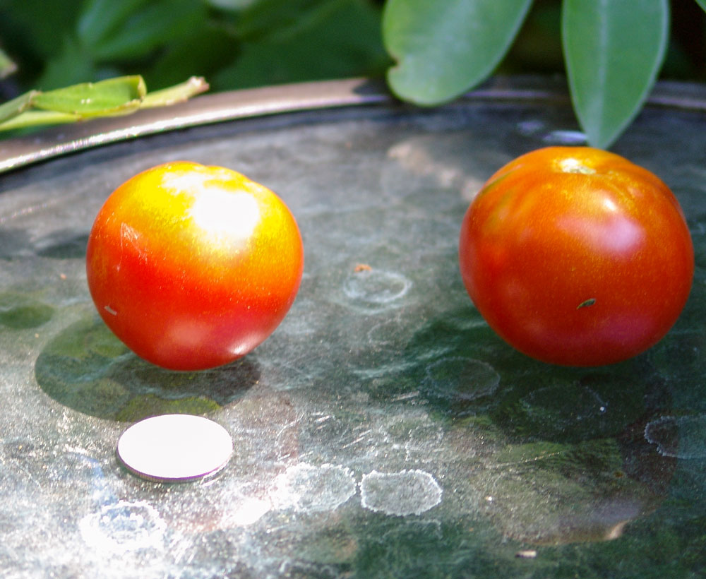 krainiy-sever-quarter-2-oz