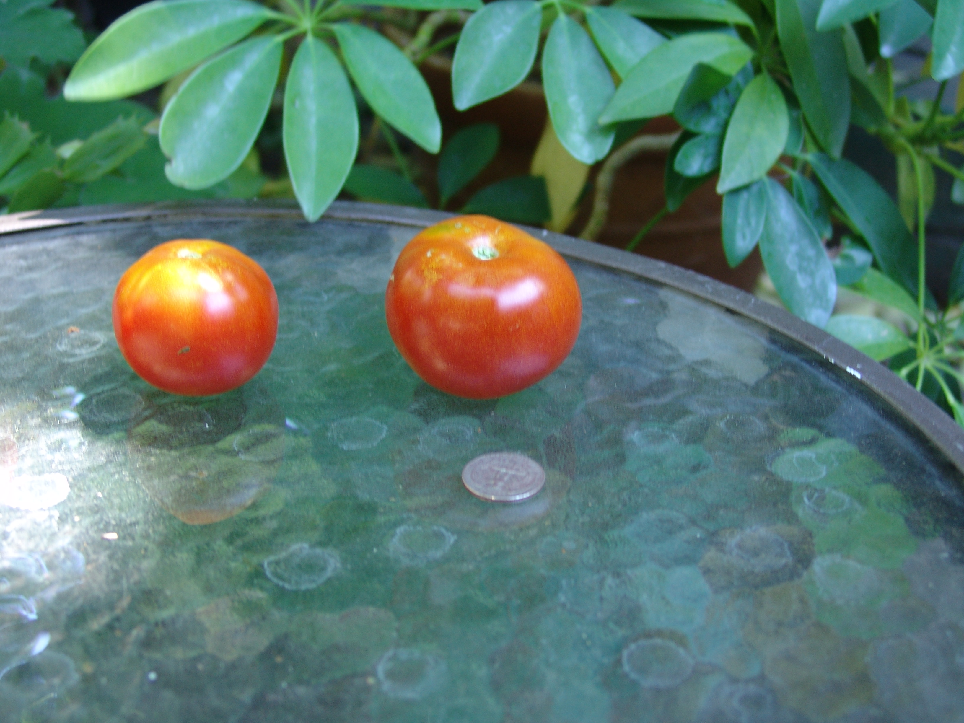 polar beautyquarter - 11