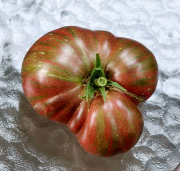 fred's-tye-dye-81017