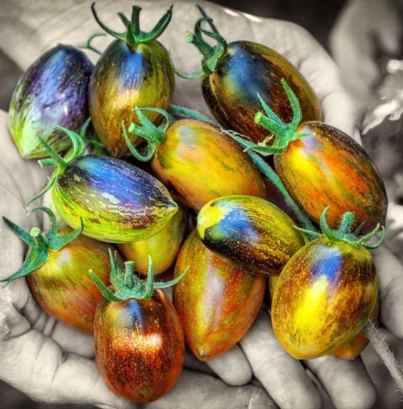 brad's Atomic Grape.jpg