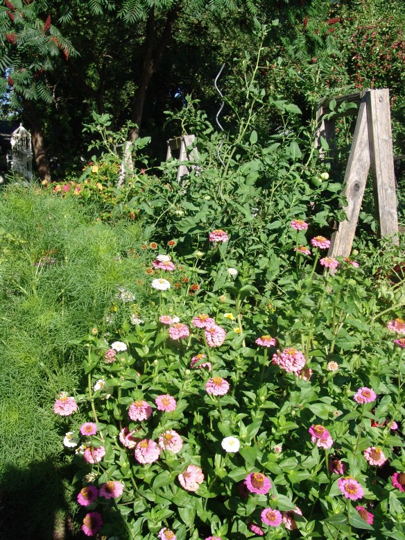 misc photos 81319 - 49