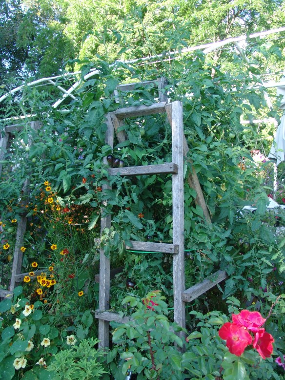 misc photos 81319 - 50