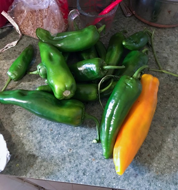 last of the corno di tornos 2019