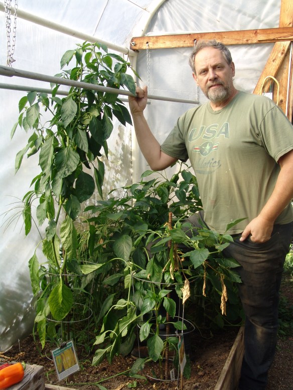 steve and corno di toro yelow