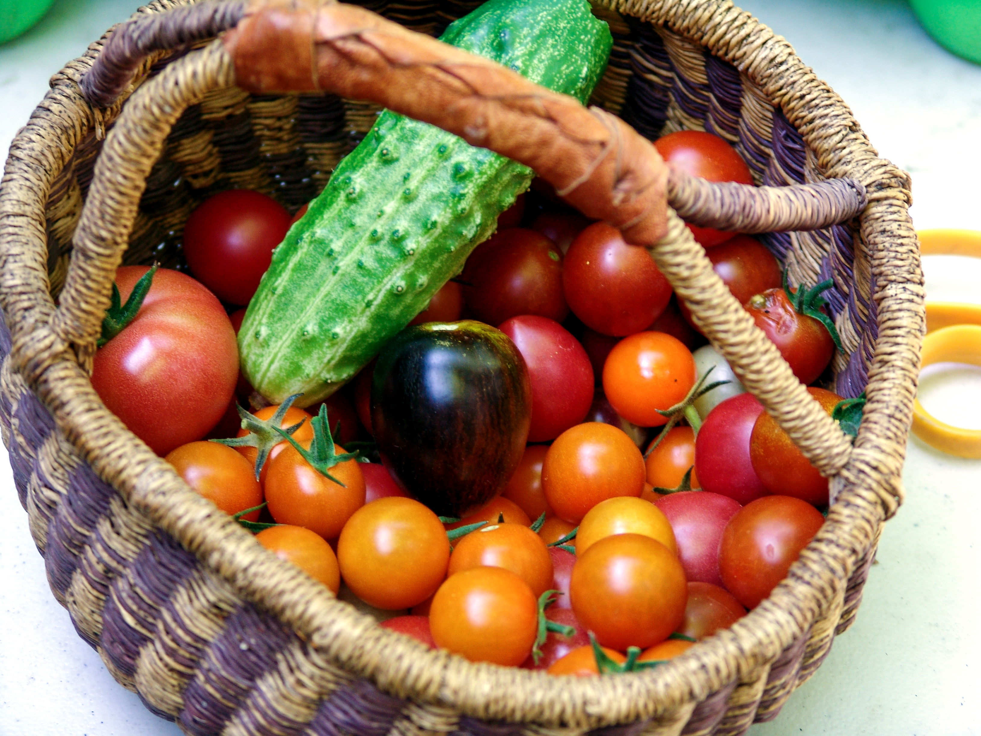 cherry tomatoes - 1 copy