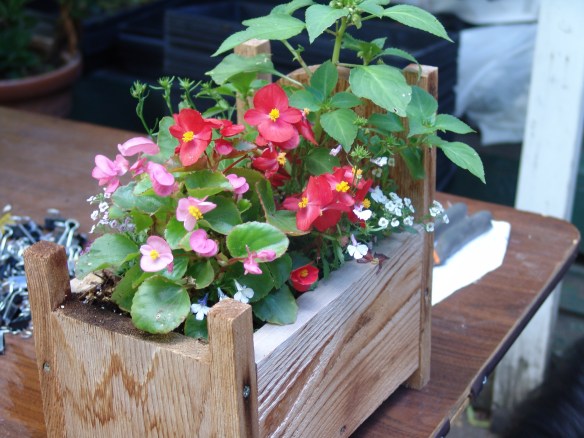 containers and bed12