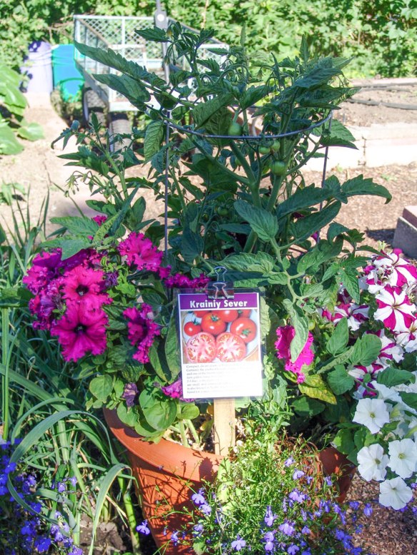 krainiy-sever--3-6-22-17