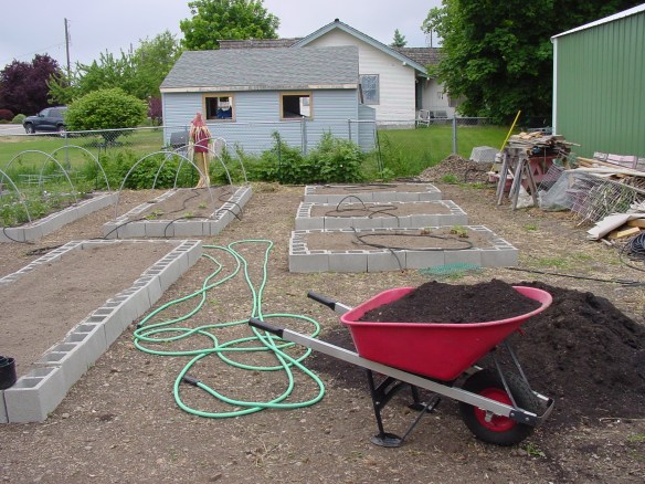 raised beds 3