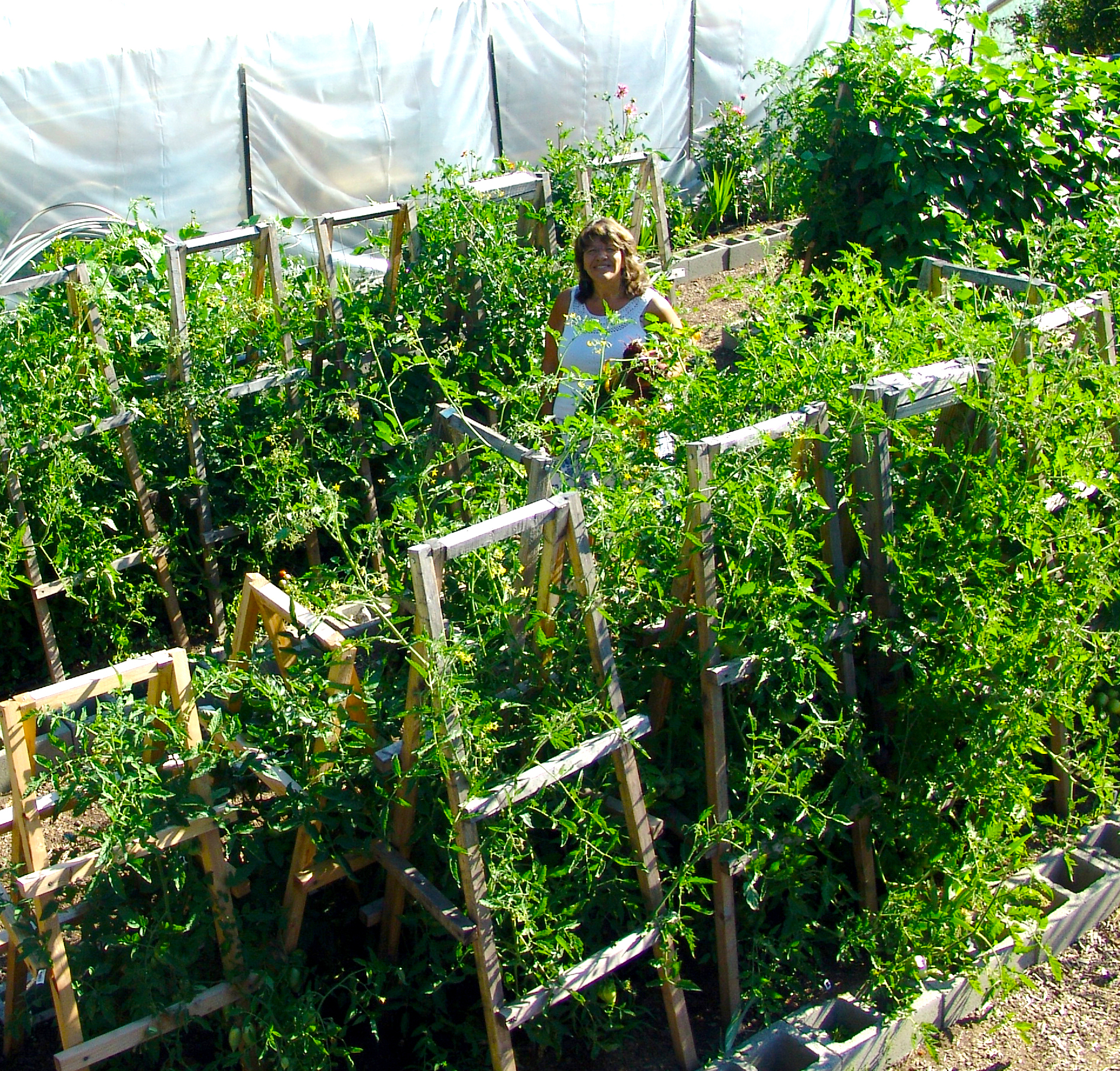 me in garden with tomatoes811