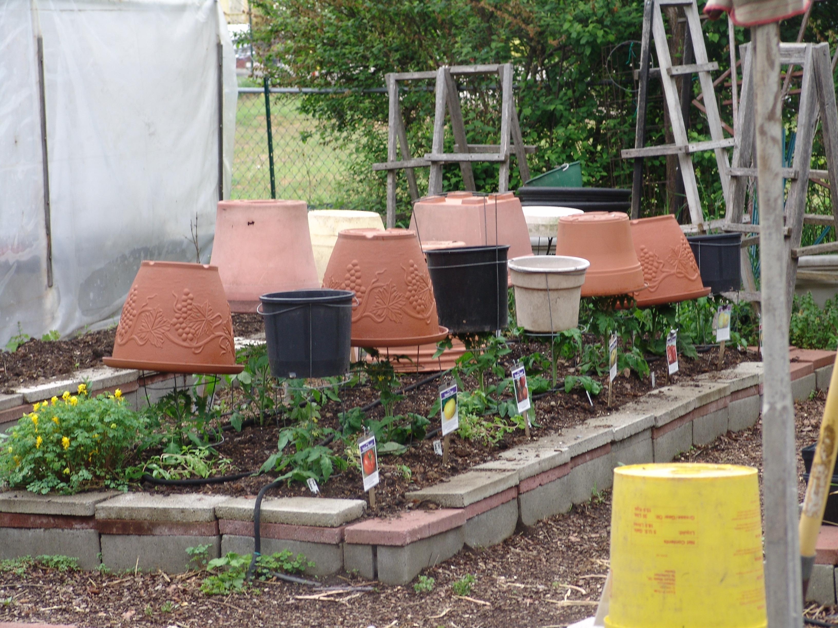 storm protection 5192020 - 2